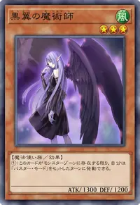 黒翼の魔術師