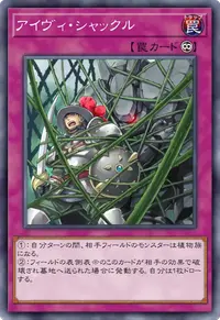 アイヴィ・シャックル