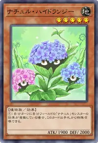 ナチュル・ハイドランジー