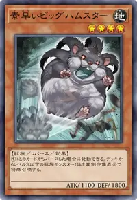 素早いビッグハムスター