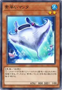 素早いマンタ