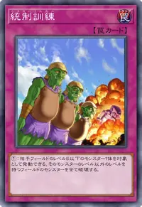 統制訓練