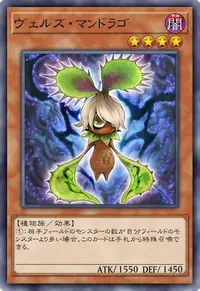 ヴェルズ・マンドラゴ