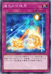 進化の分岐点
